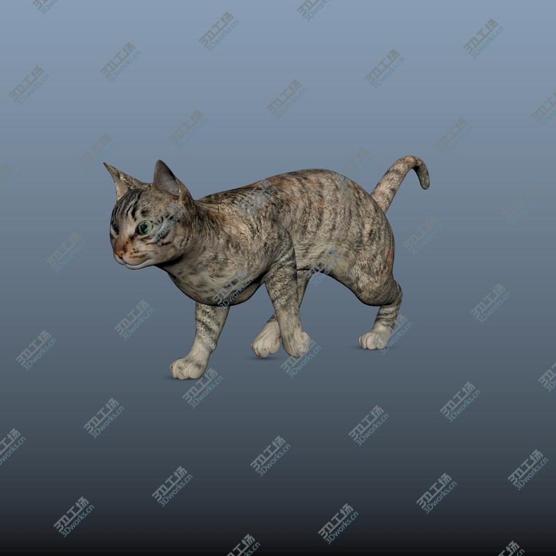 images/goods_img/202104092/Cat - Rigged, Animated 3D/3.jpg